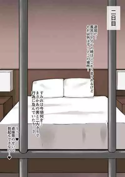 kanojo netorase issyuukan