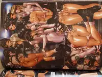 masamune shirow w tails cat 1