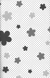 [3x3CROSS] Shiramochi (RAW)