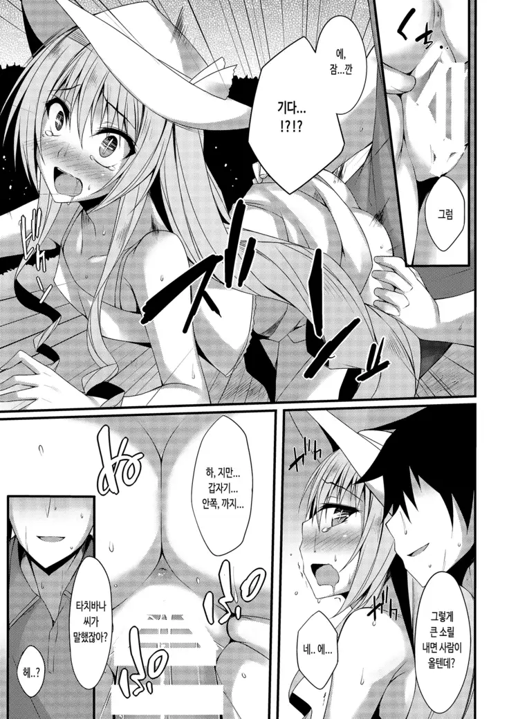 PROVISIONAL NAME T's