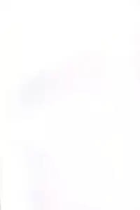 (C85) [Bananatart (Kussie)] Sword Break 2 (Dokidoki! Precure)