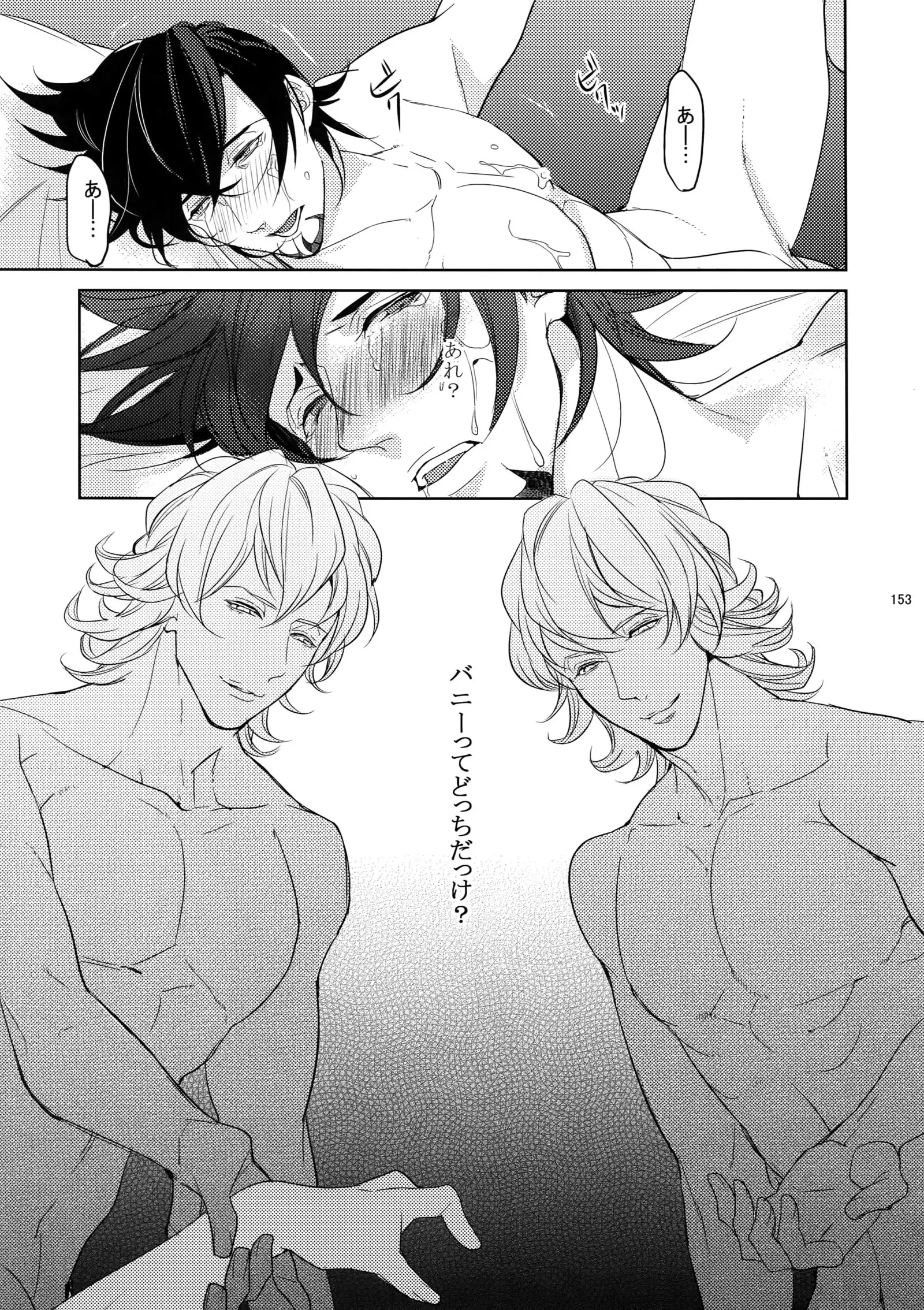 BOROZS Usagi Tora Sairoku