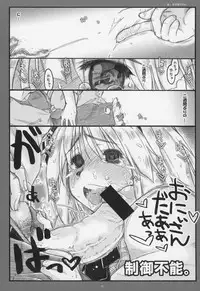 (C85) [Ankoku-Bousougumi (Ainu Mania)] Myon na Kayoizuma 6 - Fuyu no Hi no 3 "Y" 1 "Juu" (Touhou Project)