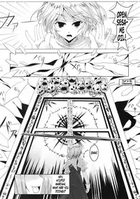 (C76) [barista (Kirise Mitsuru)] Schrodinger (Touhou Project) [English] {Afro}