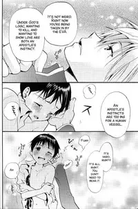 (C77) [RAYTREC (Fuyunagi Reku)] +PLUS (Neon Genesis Evangelion) [English] [SMDC]