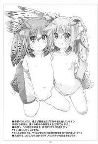 (C92) [Tohgoo (Fuyutugu)] Hakase Joshu no Kaikata (Kemono Friends)