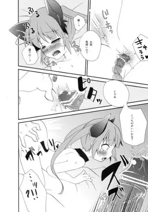 Tadashii Nyanko no Shitsukekata