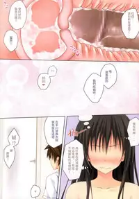 (C86) [SUGIYA (Sugii Tsukasa)] Kotegawa-san ni Shiro Sukumizu o Kisete Harenchi na Koto o suru Hon (To LOVE-Ru) [Chinese] [個人漢化]