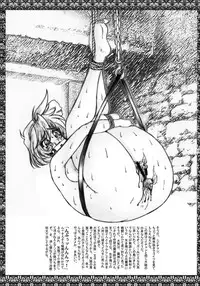 (C68) [GLAMOUR WORKS (Shadi Biin)] Monster Collection (Record of Lodoss War)