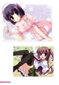 [Yukie] MOEOH Selection Flower Flower Yukie Gashuu