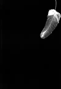 [PIG-ASScorps/ Ore Ebis] Icarus ga nishi no hate (Shingeki no Kyojin) [English]