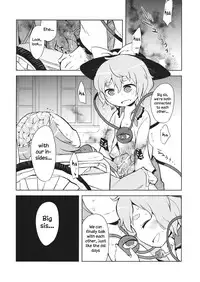(Reitaisai 13) [02 (Harasaki)] FREAKS OUT! (Touhou Project) [English]