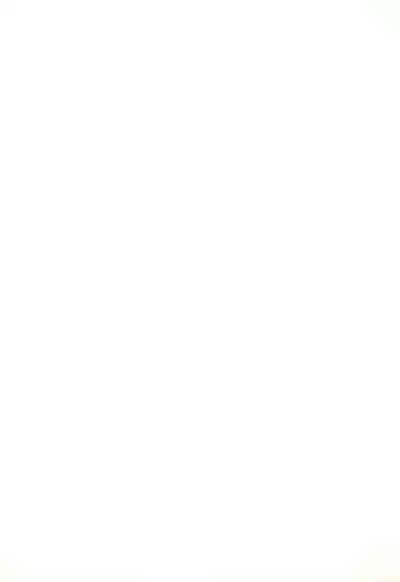 Soko ni Ai wa aru no? 3