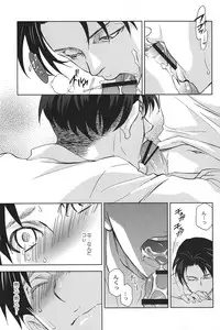 (FALL OF WALL2) [Pink Power (Mikuni Saho)] Tsubekobe Iwazuni Damatte Ore ni Shitagai Yagare. (Shingeki no Kyojin)