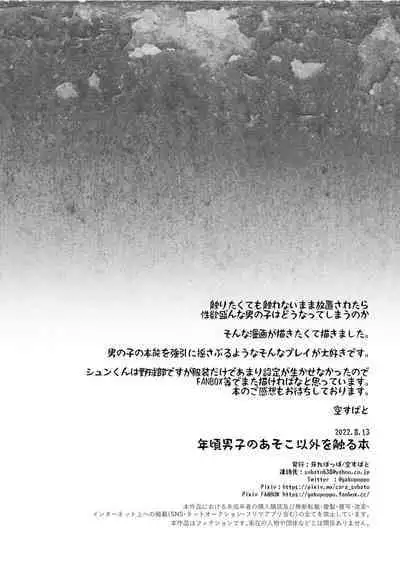 Toshigoro Danshi no asoko igai wo Sawaru hon