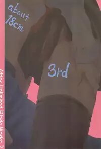 (SC32) [Inu Ringo, Nilitsu Haihan (Nilitsui)] About18cm 3rd (Fate/stay night) [English] [CGrascal]