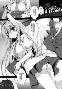 (C92) [Yuugen Jikkou (Gonzaburo-)] Haru no Usagi wa Ousei de (Touhou Project) [Chinese] [CE家族社]