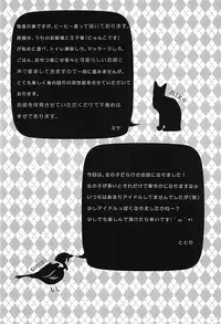 (C91) [Mikenekotei (Mike)] Nantettatte Idol ~Jitsuroku! Idol no Uragawa~ (Touhou Project)