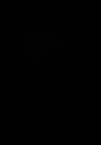 (C93) [Rocket Chousashitsu (Koza)] Sanae-san no Ura Hounousai (Touhou Project) [Chinese] [脸肿汉化组]