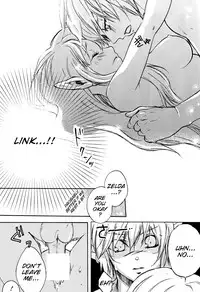 (HaruCC18) [Usagi Paradise (Misa)] Hajimete no Natsu | The First Summer (The Legend of Zelda: Skyward Sword) [English]