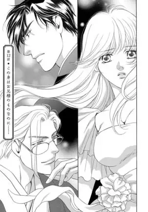 Imouto Mekake ~Onii-sama, Mou Yurushite~ <2>