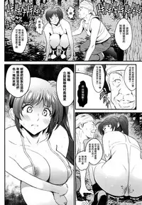 (COMIC1☆13) [Metabo Offensive Smell Uproar (Itachou)] N ~Ochita Ace~ (Mahou Shoujo Lyrical Nanoha) [Chinese] [有毒気漢化組]