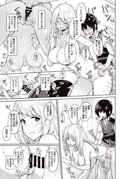 Otouto ga Kawaisugiru node Mirai no Teitoku dakedo, Aishichatte mo Ii desu ka?