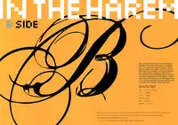 (C81) [Shoujo Kishidan (Oyari Ashito)] IN THE HAREM B SIDE (THE iDOLM@STER) [English] [Decensored]