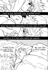 (C83) [Watagashi Maker (Tomiko)] LITTLE TOYBOX (Hunter x Hunter) [English] [Willeke4439]