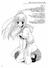 [Digital Lover] DL-RO Soushuuhen 3 (Ragnarok Online)