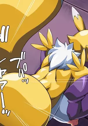 Renamon's Next Order
