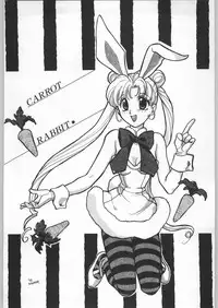 (C45) [Uroboros (Various)] Paraselene (Bishoujo Senshi Sailor Moon)