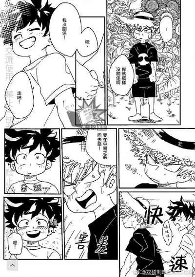 (Douyara Deban no Youda! 17) [Ultimate safaripark (Horiuchi Mochiko)] Saraba Itoshi no (Boku no Hero Academia) [Chinese]