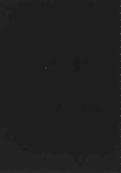 GAME OF BITCHES the escape