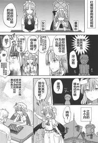 (Shuuki Reitaisai 5) [Mikkamisaki (Nadzuka)] Ojou-sama no Koukando ga MAX na Hon (Touhou Project) [Chinese] [靴下汉化组]