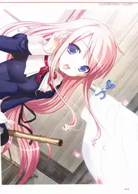 Sakura Sakura Visual Fan Book