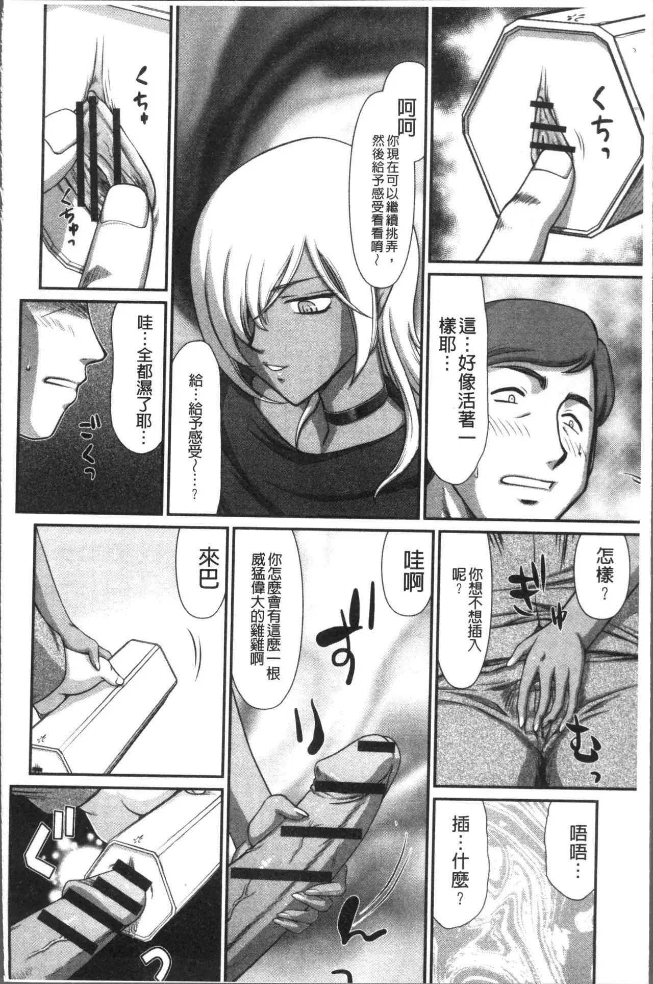 Inraku no Seijo Elvine