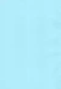 (Ore ga Ryuu de, Omae ga Tora de. ~Hannin wa ○○~) [Oomorian (Ohbayashi Mori, Pensuke)] Limited Chiwadora! (Toradora!)