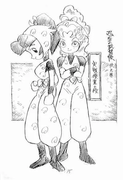 (C47) [UNION OF THE SNAKE (Shinda Mane)] Nintama Bugei-chou '94 (Rakudai Ninja Rantaro)