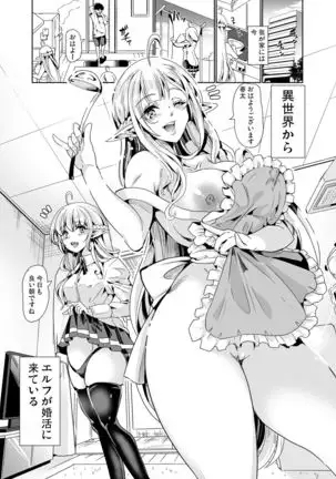 Sukebe Elf Shimai, Konkatsu ni Kuru ~Harem Lesson~