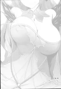 (C94) [In The Sky (Nakano Sora)] S . S -scathach sketch- (Fate/Grand Order)