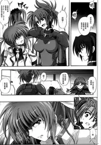 (COMIC1☆4) [Cyclone (Izumi, Reizei)] 667 KAI (Mahou Shoujo Lyrical Nanoha) [Chinese] [脸肿汉化组]