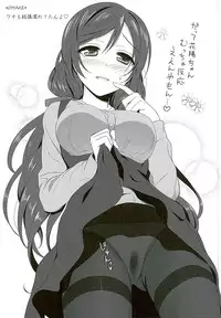 (C89) [39xream (Mikuta)] Hanayo no Omocha (Love Live!) [Chinese] [沒有漢化]