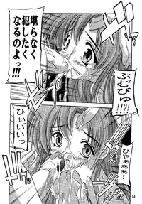 (C69) [Studio Q (Natsuka Q-Ya)] SEED Soushuuhen (Gundam Seed)