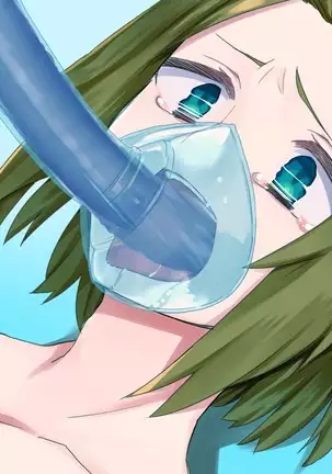 TS Mesu Dorei e no Kaizou