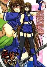 (C71) [Nozarashi (Nozarashi Satoru)] Gyakushuu no Kyouhime-sama