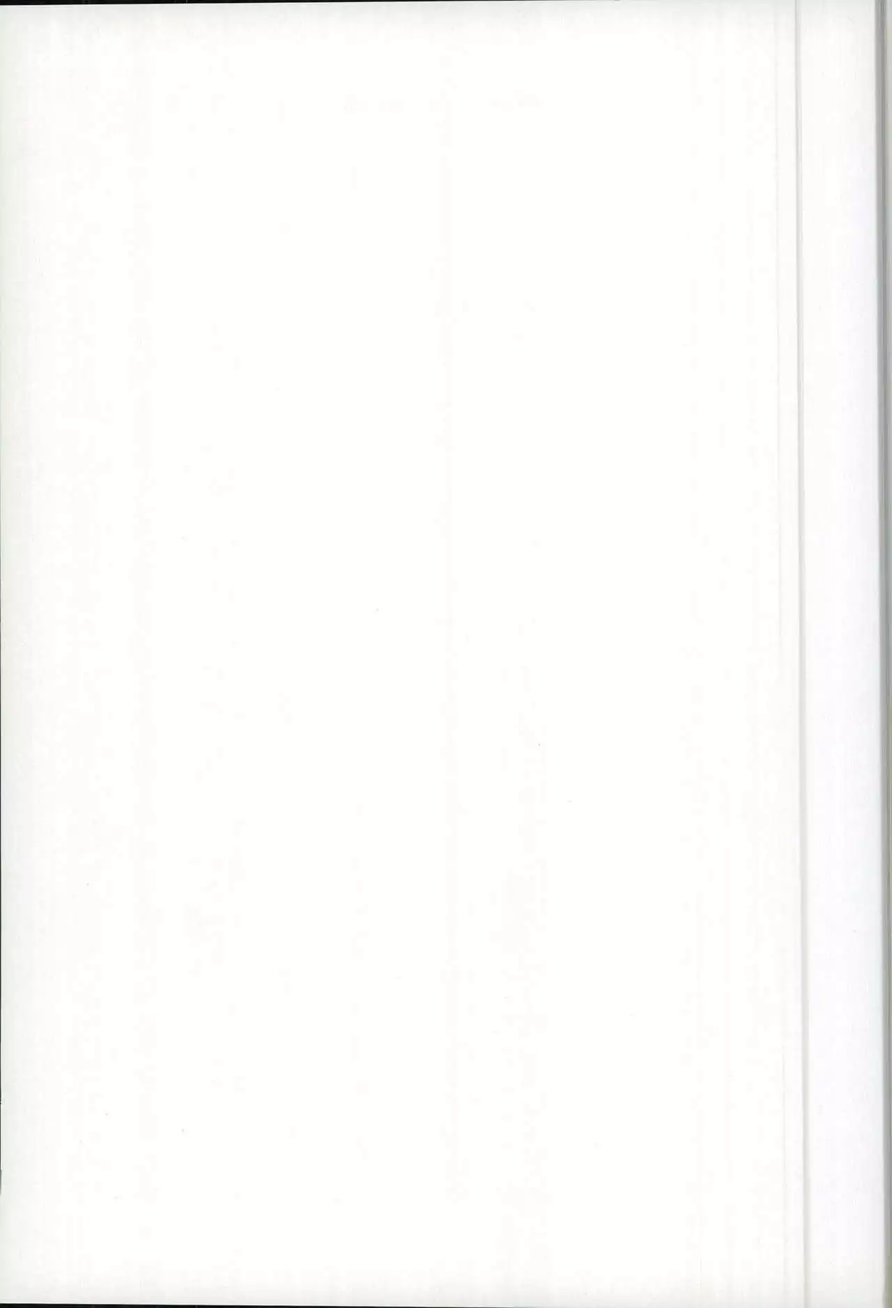 Kimi ni Usagi to Sukoshi no Curry