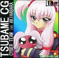 [Holy Up] TSUBAME CG CYBER TEAM in AKIHABARA (Cyber Team in Akihabara)