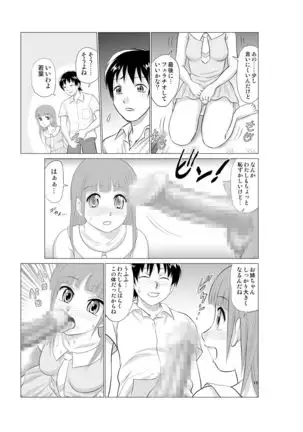 Irekae Mura Diary Soushuuhen Kopen