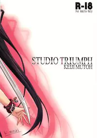 (C81) [STUDIO TRIUMPH (Mutou Keiji)] Astral Bout Ver.22 (Infinite Stratos)